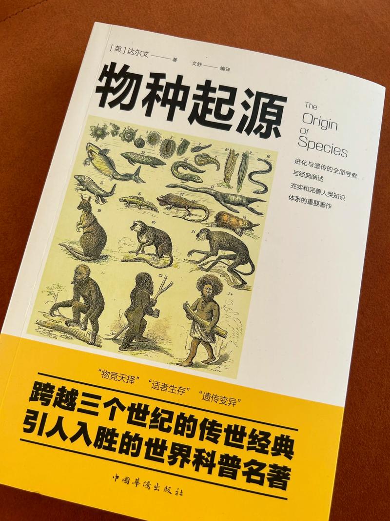杀神重生叶欢在线阅读，绝世杀神归来纵横都市