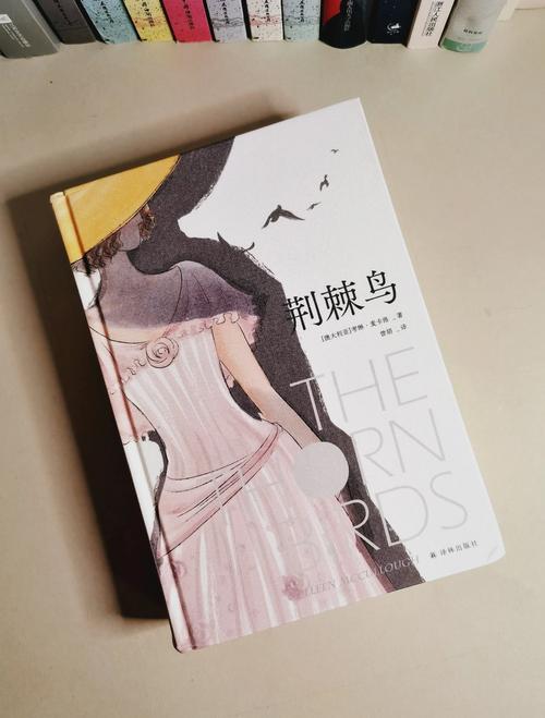 圣经阅读在线手机版 - 随时随地默想神的话语