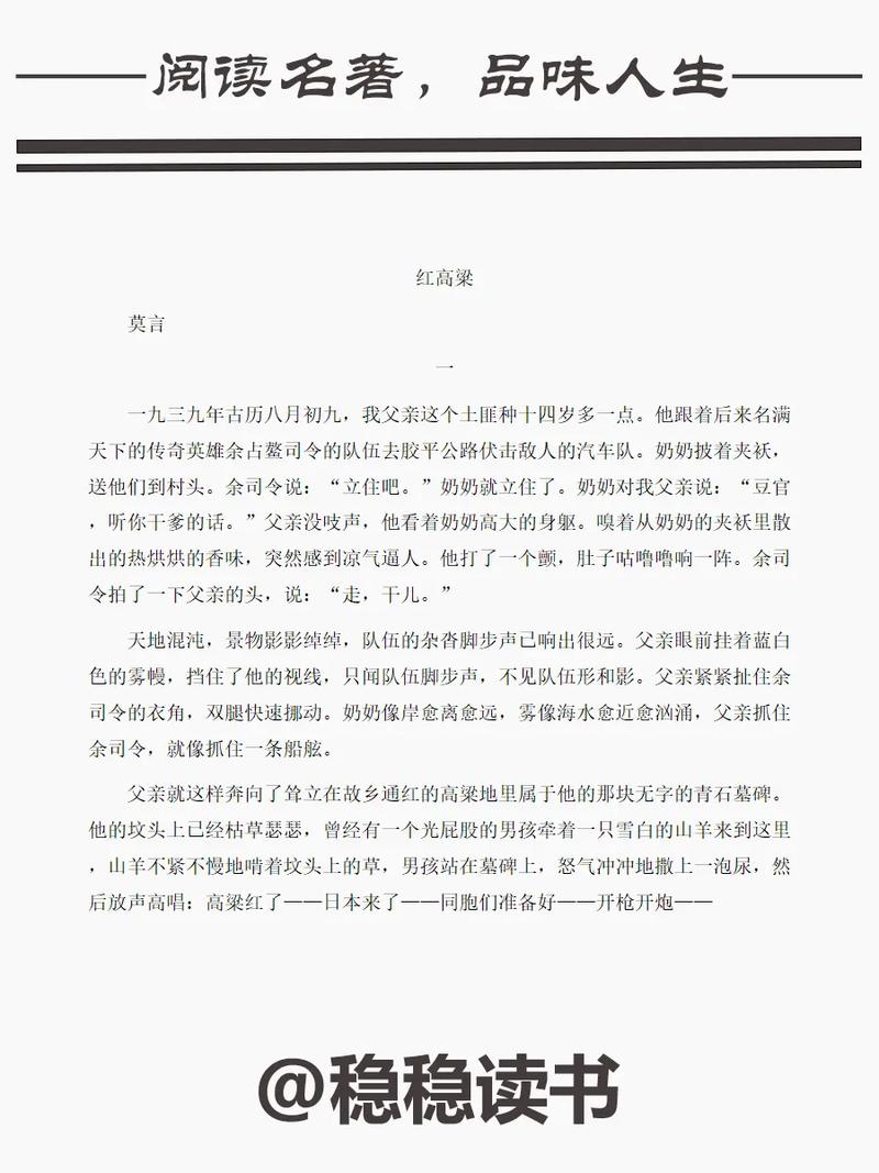 2519免费阅读在线 - 海量小说免费看,畅享阅读新体验