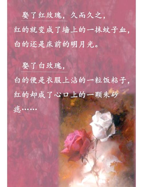 隐身侍卫在线阅读 - 超人气玄幻小说全文免费阅读