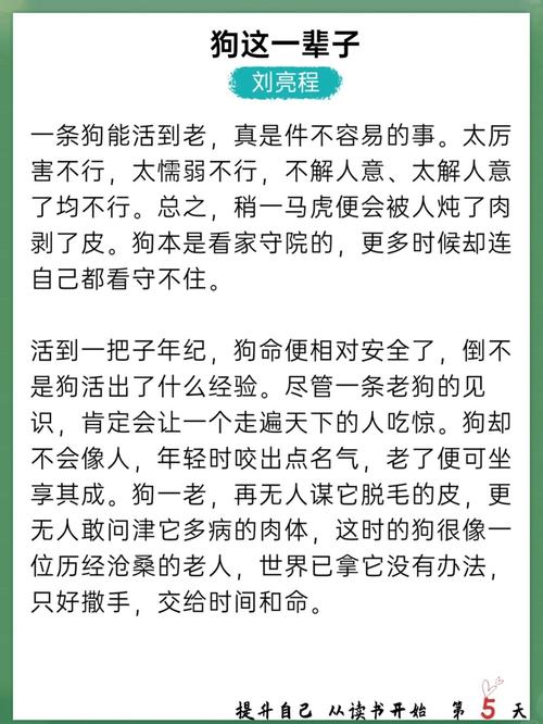 最后一班车在线阅读 | 悬疑短篇全文免费阅读