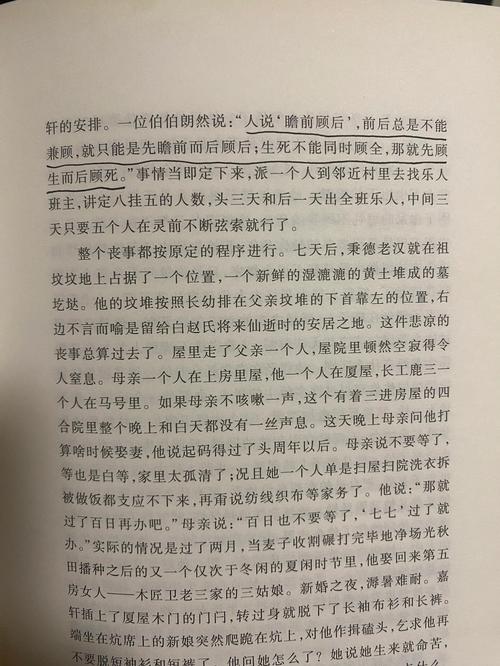 九龙抬棺张九阳林婉小说全文阅读 - 终极对决与真相揭晓