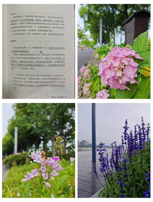 平凡的世界在线阅读 | 路遥经典长篇小说全集
