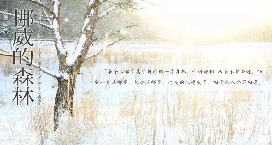 聪明的投资者在线阅读的相关介绍