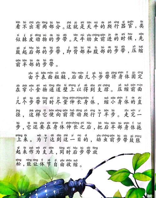 《流氓老师》全文无删减版在线阅读| 都市情感小说免费阅读