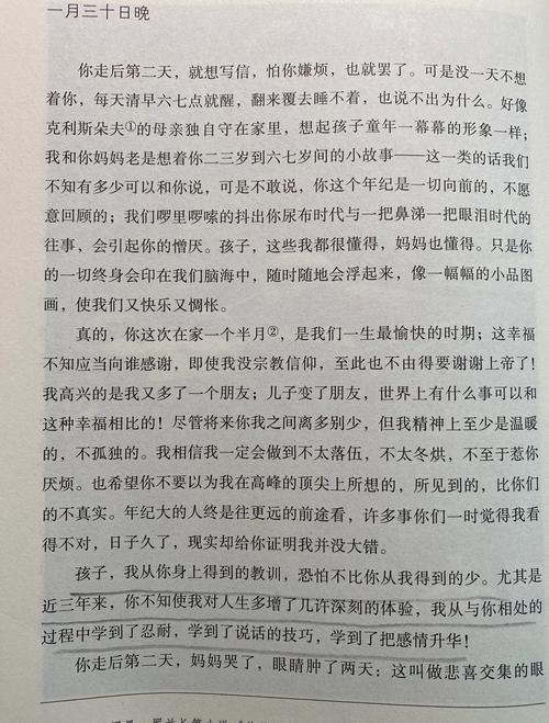 《檀香刑》全文在线免费阅读 | 莫言经典小说