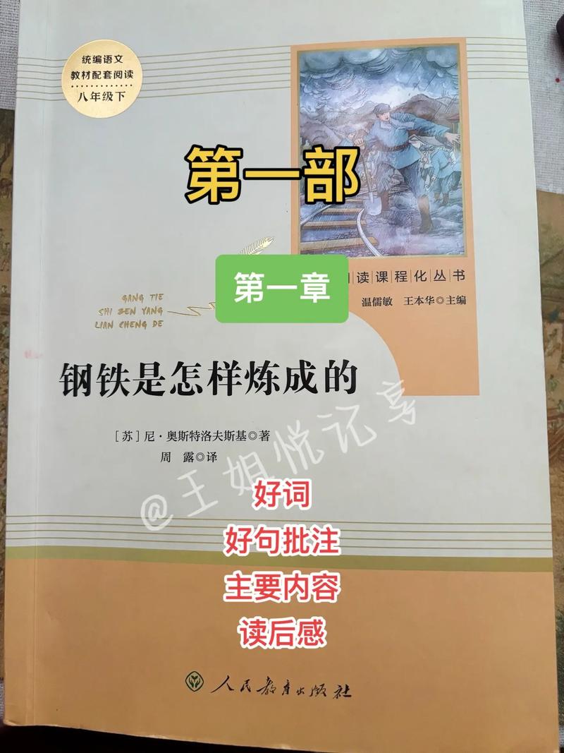 第二性全文在线阅读 | 波伏娃女性主义经典作品完整版