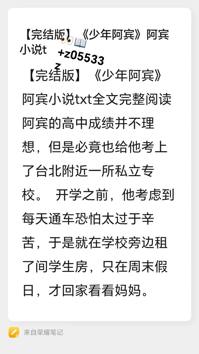 阿宾全文目录阅读在线 - 高清完整版小说目录