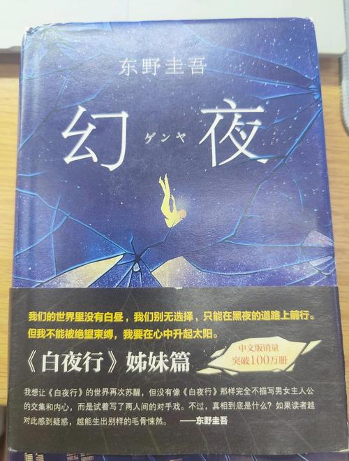 幻夜小说全文在线免费阅读 - 东野圭吾悬疑推理经典