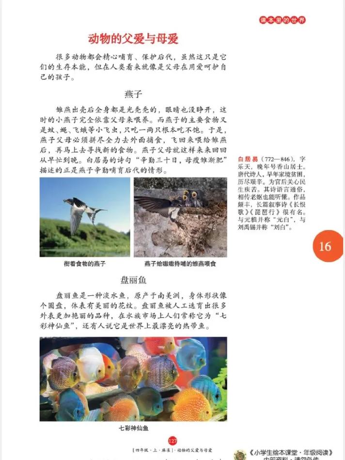 十大字母在线阅读平台推荐