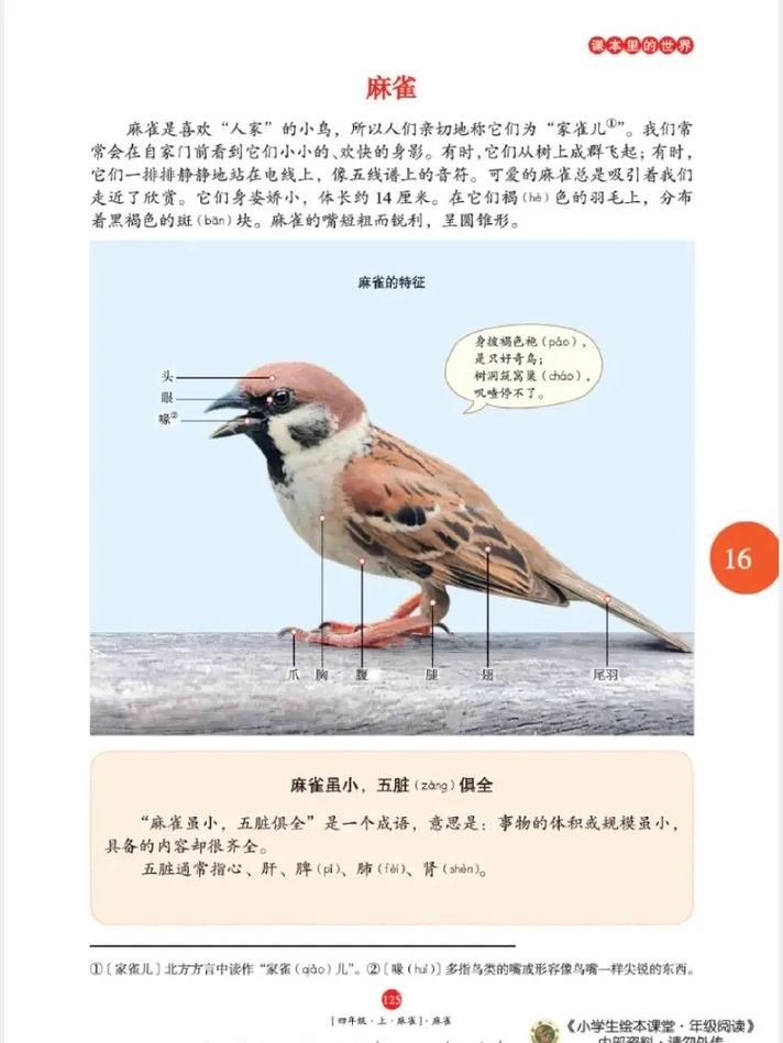 斗破苍穹在线阅读全文阅读 | 萧炎逆天崛起之路