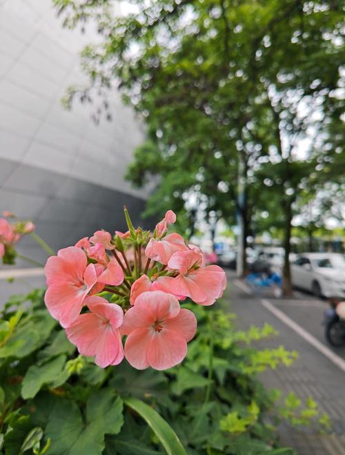家族狂欢全文在线阅读 | 免费完整版小说