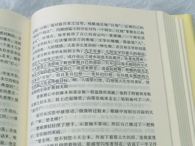 穆斯林的葬礼在线阅读 | 完整版无删减