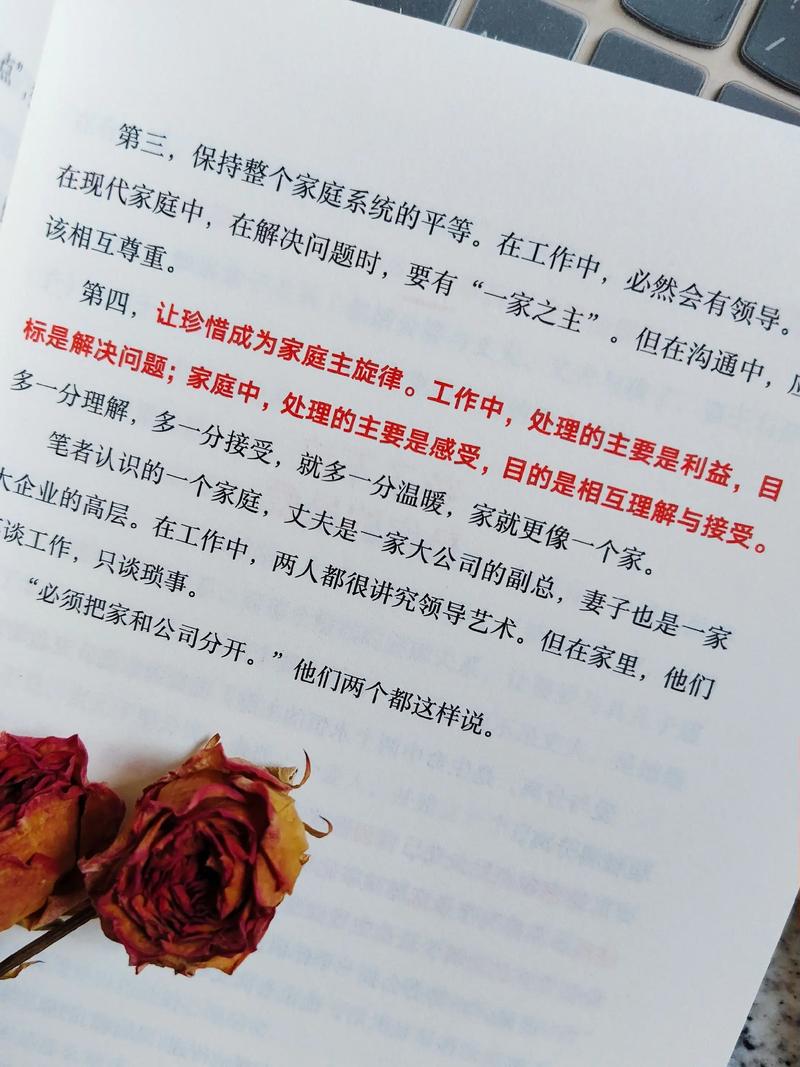 《她比烟花还耀眼》全文在线阅读｜高人气都市言情小说