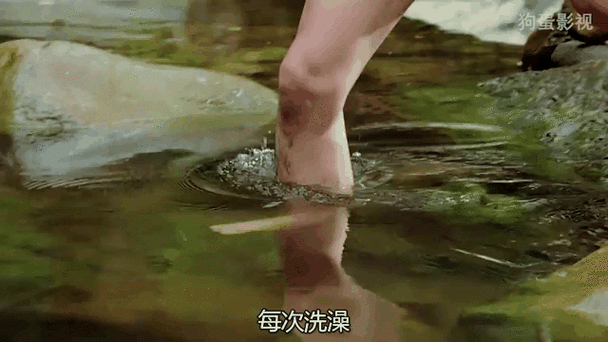 全球通史在线阅读 | 从史前到21世纪的全球文明史