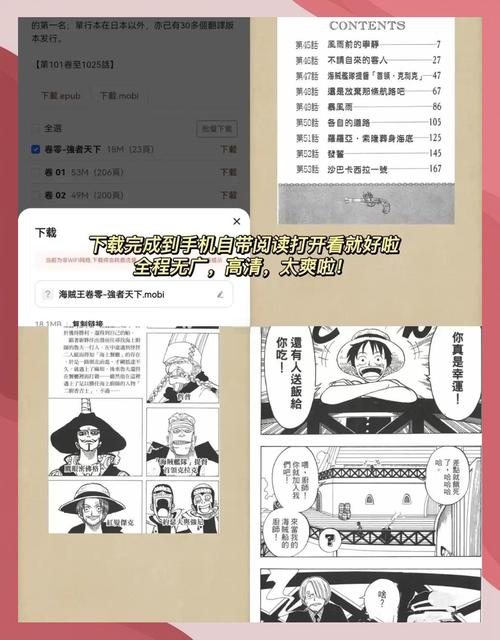 京洛再无佳人2全文免费在线阅读_小说最新章节