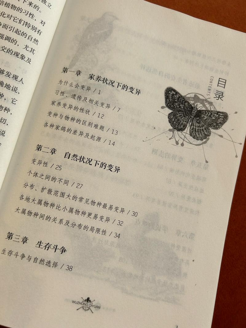 所谓情商高就是会说话在线阅读技巧，教你沟通艺术提升人际交往