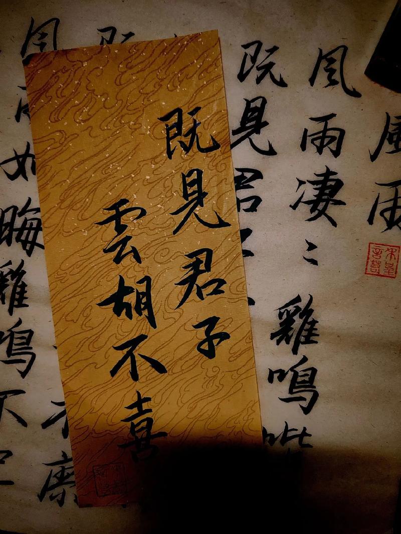 斗罗大陆小说免费阅读全文｜在线正版资源一键追更