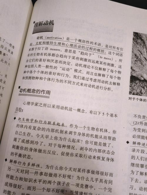 今日参考消息在线阅读：全球热点深度解读